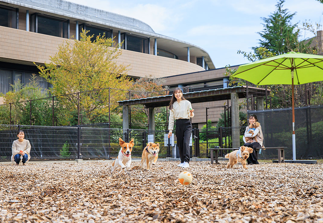 愛犬と一緒に快適な休日を過ごせる全てリードのままで移動OKの館内